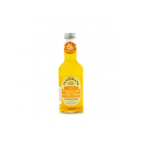 Газированный напиток Fentimans Mandarin and Seville Orange 0,275 л